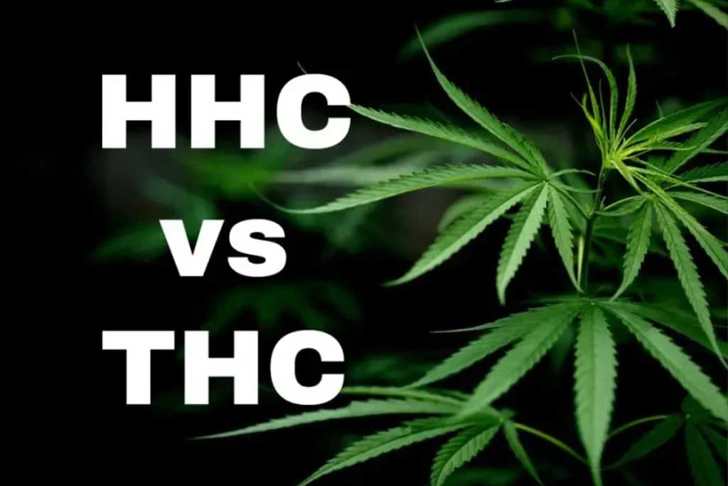 hhc vs thc