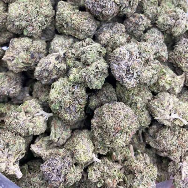 Lindsay OG Strain