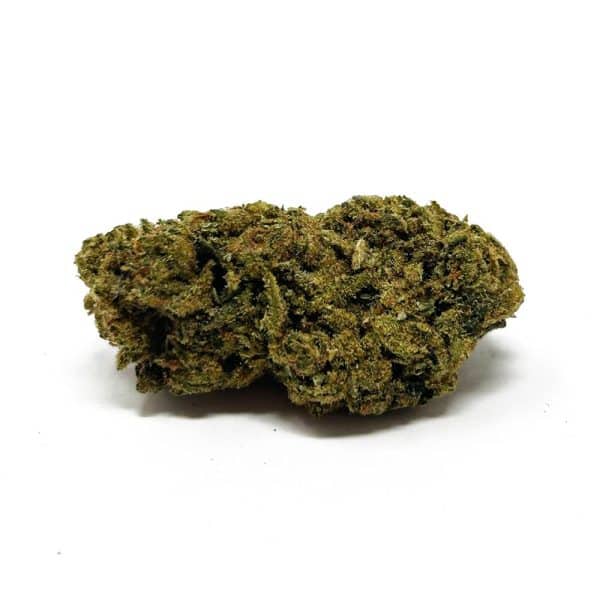 Panda Puff