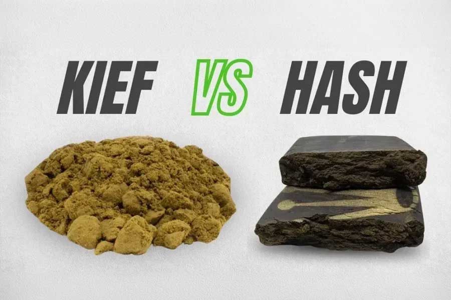kief vs hash
