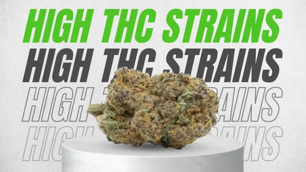 Top 5 High THC Strains in Canada