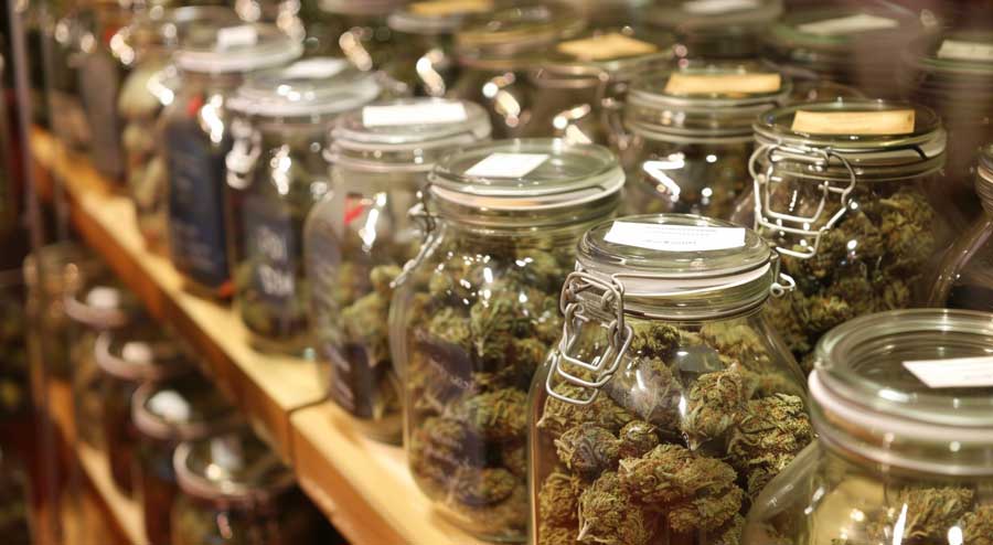 Jars of Cheap Pounds of Weed Online in Canada