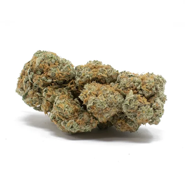   Coco Strain