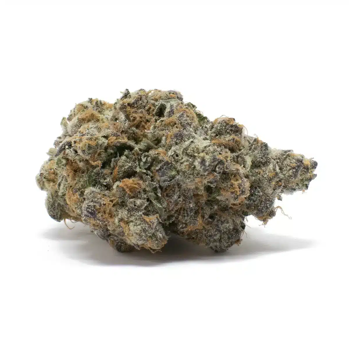 Purple Truffle Strain