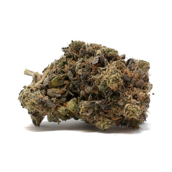 Purple Gasoline Strain