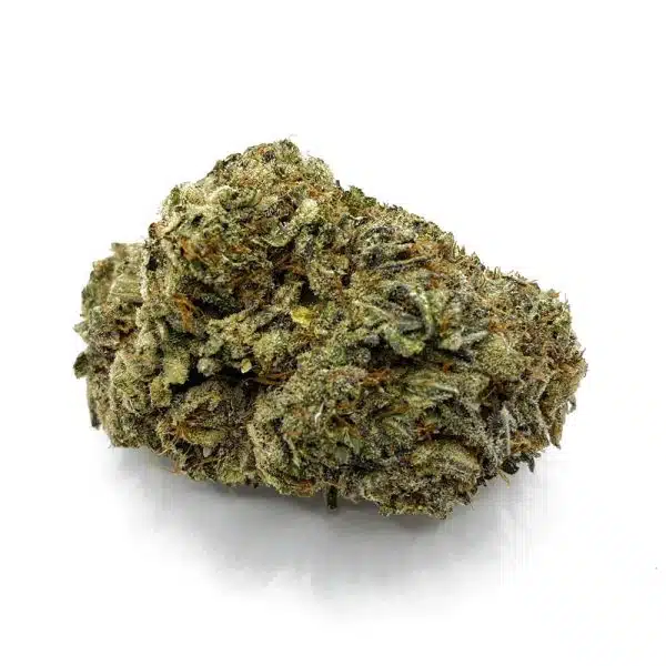 Amnesia Mac Strain
